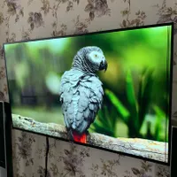 تلویزیون سونی ۵۵ اندروید ( Sony Led 55 4K )