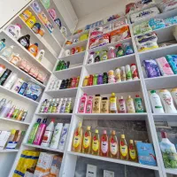 وانت مسقف با سابقه پخش