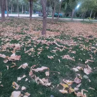 نیاز ب کمک .واقعا نیازمندم گدا نیستم