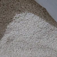 فروش برنج گردو زغال اخته ارگانیک|خوردنی و آشامیدنی|قزوین, |دیوار