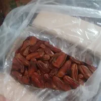 فروش انواع خرما تازه امسال نمایشگاه سیرجان|خوردنی و آشامیدنی|سیرجان, |دیوار
