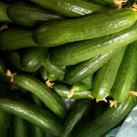 صیفی‌جات گلخانه ای صادارتی