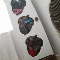 تخت کمد ویترین