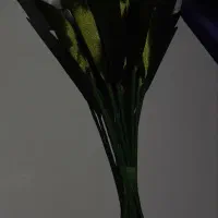 دسته گل|صنایع دستی و سایر لوازم تزئینی|سقز, |دیوار