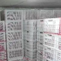 متقاضی وانت برای حمل بار از اسد آباد به بیرجند