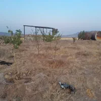 زمین-کشاورزی-درختکاری-شده