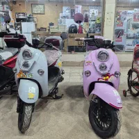 موتور پاکشتی کویر بنفش