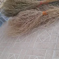 جارو دستی سنتی|لوازم نظافت|ملکان, |دیوار