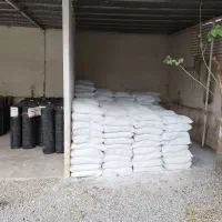فروش گچ