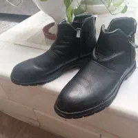 کفش|کیف، کفش، کمربند|مبارکه, |دیوار