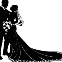 تدوینگر ودینگ(عروسی)