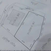 زمین کشاورزی برنج