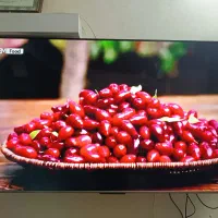 خرید خریدار ال ای دی اسپیکر 50 55 65 سراسر نقاط