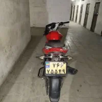 پالس 135|موتورسیکلت|قم, شهرک امام حسن|دیوار