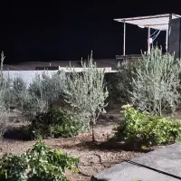 خانه باغ|فروش خانه و ویلا|کوهدشت, |دیوار