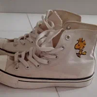 کتونی آل استار پول‌اندبیر اصل