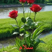 سرایدار جهت نگهداری از یک پیر مرد