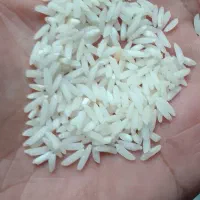برنج هاشمی عطری درجه یک