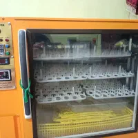 دستگاه جوجه کشی252تایی استیل