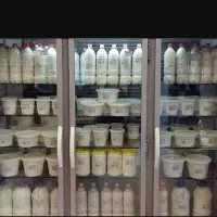 نیازمند ۲ نیروی خانم جهت کار در لبنیاتی