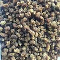 توت خشک آفتابی