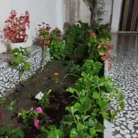 سوئیت ویلایی دربست با امکانات مجهز