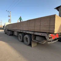نئوپان