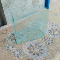 آکواریوم ماهی سالم