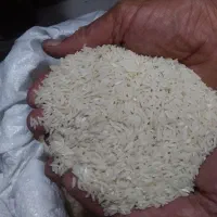 برنج هاشمی مغان|خوردنی و آشامیدنی|تبریز, |دیوار