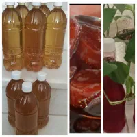 شربت سکنجبین