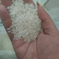 برنج هاشمی مازندران