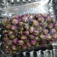 غنچه گل محمدی