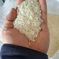 برنج درجه یک گیلان به شرط پخت چای خوش عطر لاهیجان|خوردنی و آشامیدنی|تهران, اقدسیه|دیوار