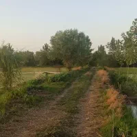 زمین