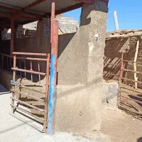 اجاره دامداری۶۰۰ متر دارای دوربین مدار بسته|اجارهٔ دفتر صنعتی، کشاورزی، تجاری|گلپایگان, |دیوار