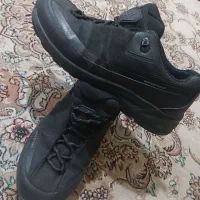 دوجفت کفش اصلی تاناکورا