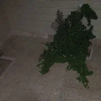 خانه ویلایی همکف آزادگان فاز4