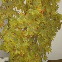 درخچه و گل مصنوعی