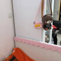 سرویس خواب نوزاد|تخت و سرویس خواب|مرودشت, ثبت احوال|دیوار