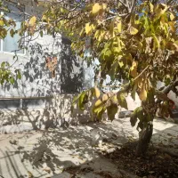 ویلای|فروش خانه و ویلا|داران, |دیوار