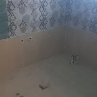 فروش ۲خواب معلم بعدازمسجدباقرزادگان|فروش آپارتمان|ساری, |دیوار