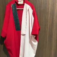 دو‌عدد مانتو