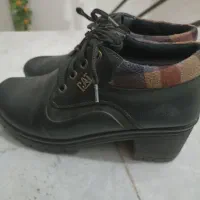 کفش|کیف، کفش، کمربند|بیرجند, |دیوار