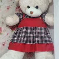 خرس بزرگ خارجی