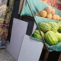 میز هندوانه و میز میوه جفت باهم 25 میلیون