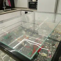 آکواریوم شیشه خم