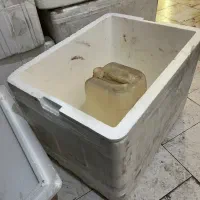 کاچوی یخدان بزرگ