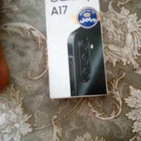 a17