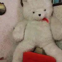 خرس بزرگ ولنتاینی