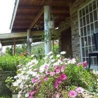 ویلا باغ دربست دنج و آرام|اجارهٔ کوتاه‌مدت ویلا و باغ|نشتارود, |دیوار